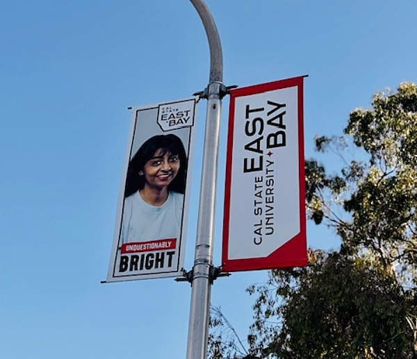 Pole Banners for University | College Campus Branding