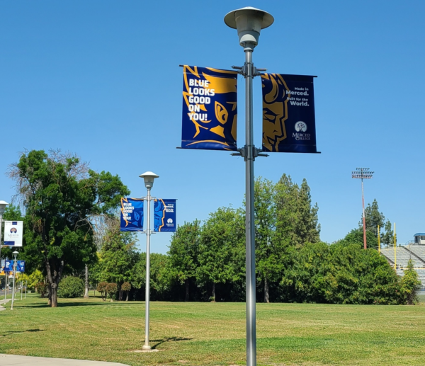 University Pole Banners | Campus Branding Signage