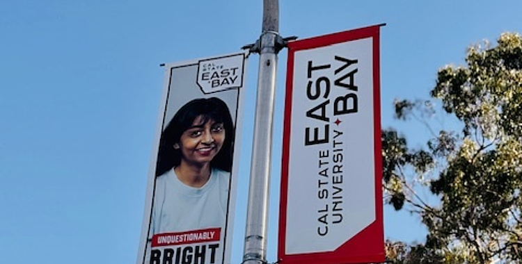 Pole Banners for University | College Campus Branding