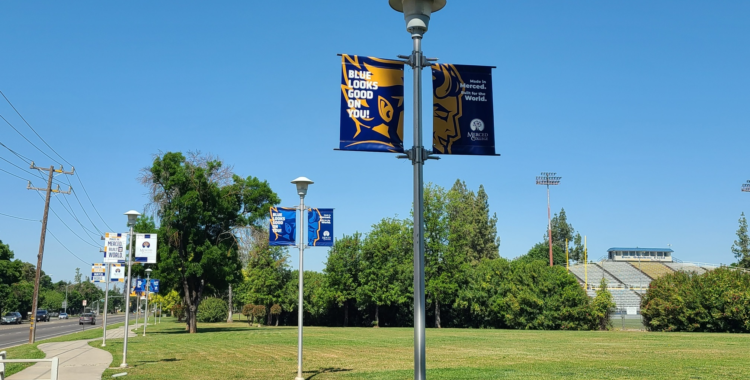 Banner Saver The Sign Guys UC Merced 007