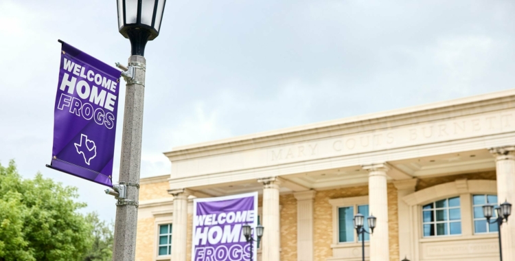 Welcome home frogs light pole banners