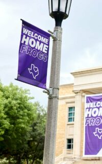 Welcome home frogs light pole banners