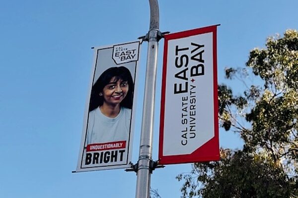 Pole Banners for University | College Campus Branding