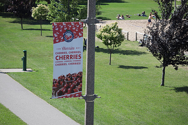 BannerSaver banner brackets on a lamp post with custom banners for the National Cherry Festival.