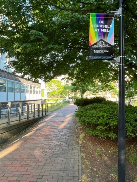 marine biological laboratory banner